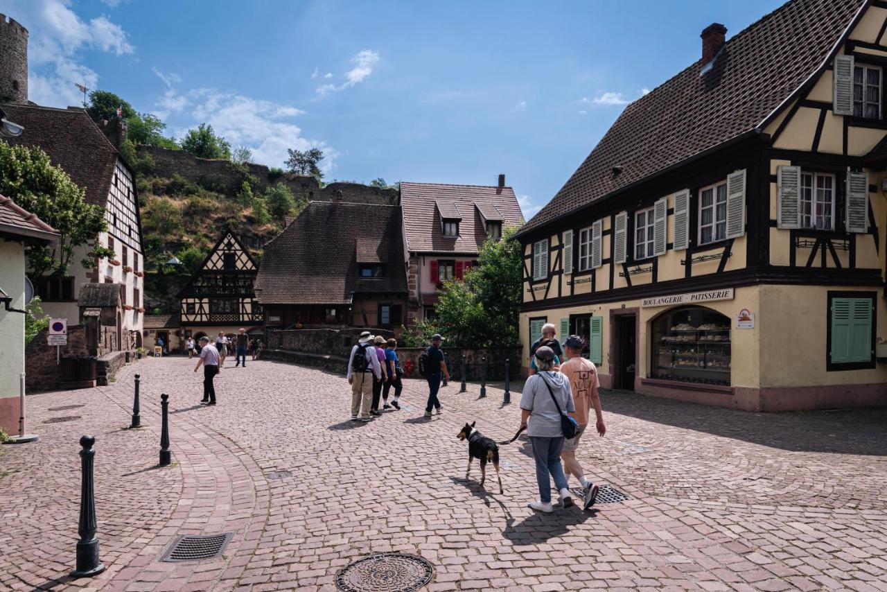 Gite Au Coeur Du Vieux Kaysersberg - Parking Prive & Wifi エクステリア 写真