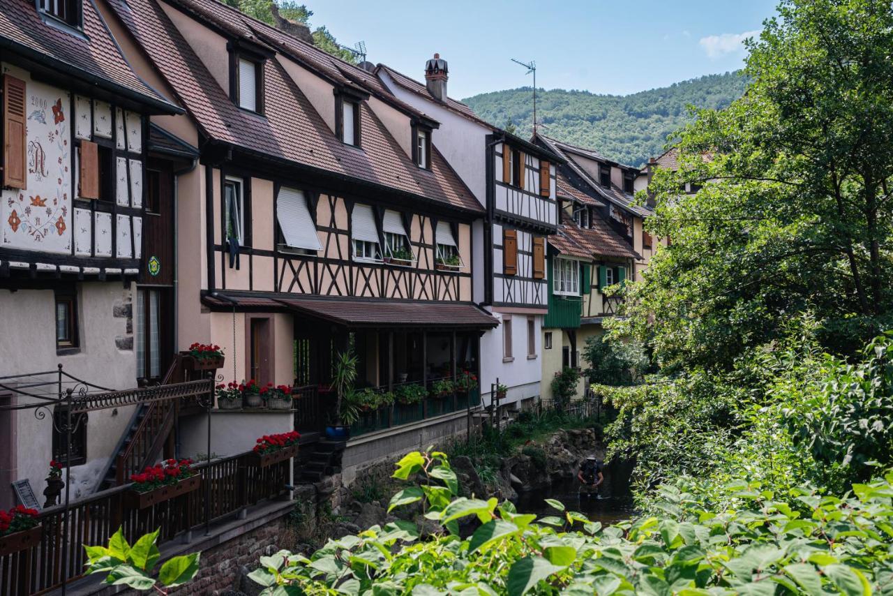 Gite Au Coeur Du Vieux Kaysersberg - Parking Prive & Wifi エクステリア 写真